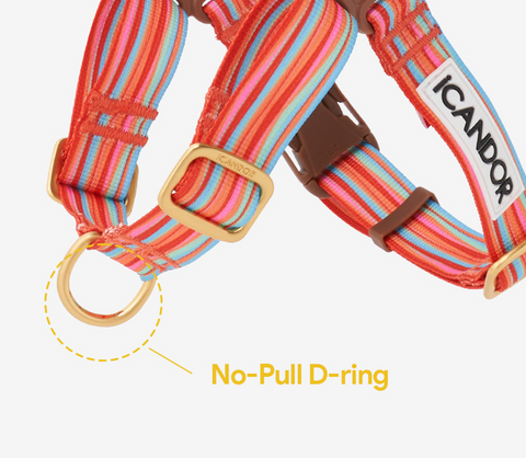 No-Pull Harness | Forest