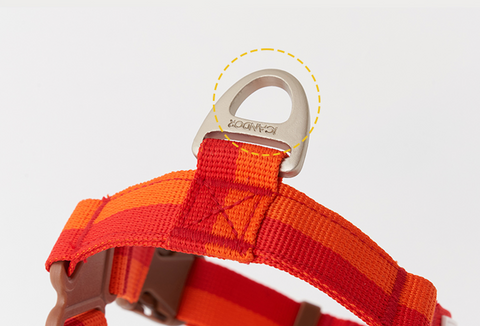 No-Pull Harness | Forest