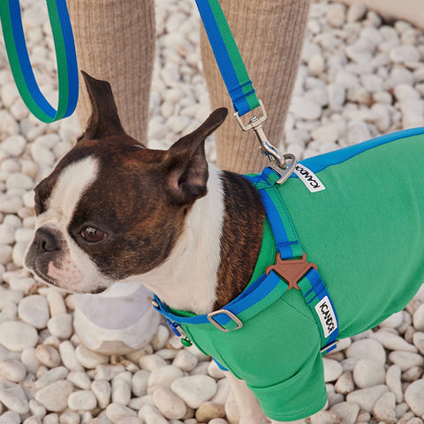 No-Pull Harness | Forest